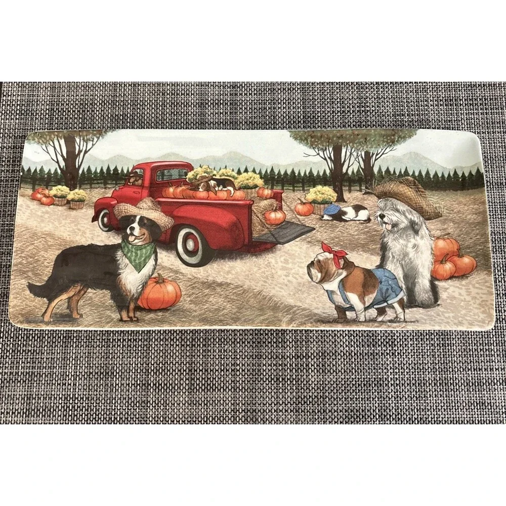 Pier 1 Imports Ironstone 14